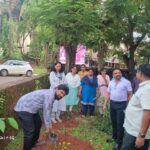 पर्यावरण दीना निम्मित उपविभाग कार्यालय कणकवली येथे वृक्षारोपण करताना (2)