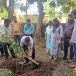 पर्यावरण दीना निम्मित उपविभाग कार्यालय कणकवली येथे वृक्षारोपण करताना (4)