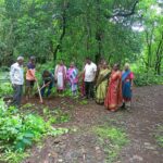 महसूल सप्ताह अंतर्गतवृक्षारोपण करण्यात आले (10)