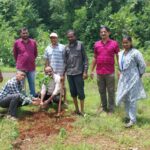 महसूल सप्ताह अंतर्गतवृक्षारोपण करण्यात आले (11)