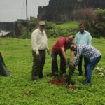 महसूल सप्ताह अंतर्गतवृक्षारोपण करण्यात आले (2)