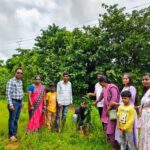 महसूल सप्ताह अंतर्गतवृक्षारोपण करण्यात आले (3)