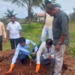 महसूल सप्ताह अंतर्गतवृक्षारोपण करण्यात आले (4)