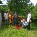 महसूल सप्ताह अंतर्गतवृक्षारोपण करण्यात आले (6)