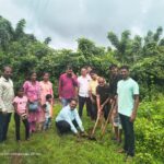 महसूल सप्ताह अंतर्गतवृक्षारोपण करण्यात आले (8)