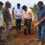 महसूल सप्ताह अंतर्गतवृक्षारोपण करण्यात आले (9)